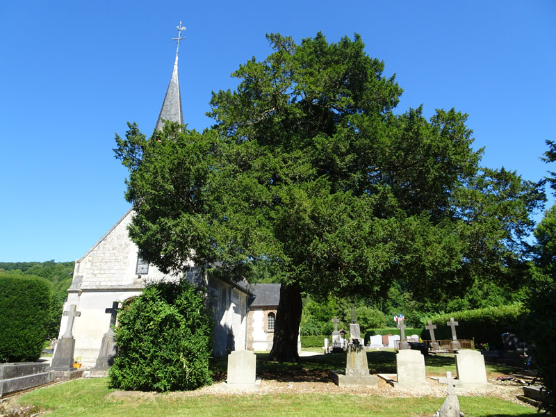Fierville-les-Parcs : Eglise Saint-Désir