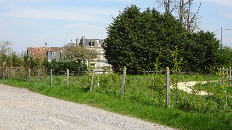 Saint-Pierre-du-Jonquet : Château de Rupierre