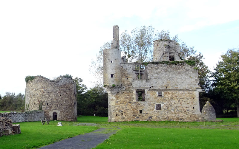 Rémilly-sur-Lozon : Ruines du château de Montfort