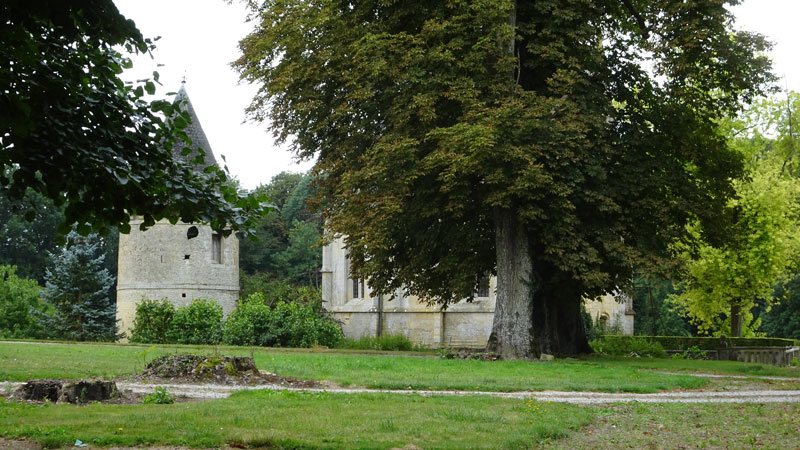 Nonant-le-Pin : Vestiges du château de Nonant