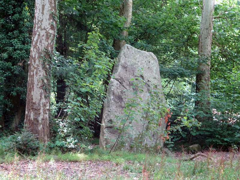 Silly-en-Gouffern : Menhir dit Pierre Levée