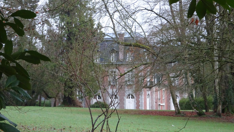 Danvou-la-Ferrière : Château du Hamel