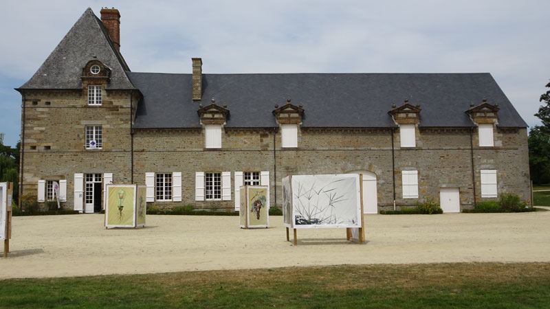 Ducey : Château des Montgommery