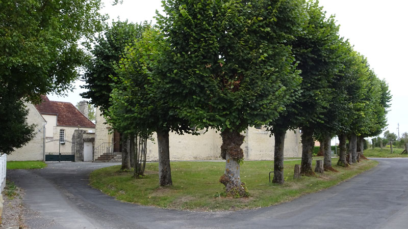 Fontenai-sur-Orne : Eglise Saint-Martin